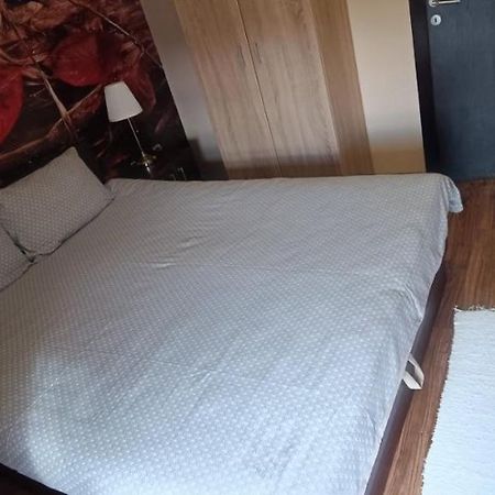 Apartment Vila Sandra Златибор Экстерьер фото